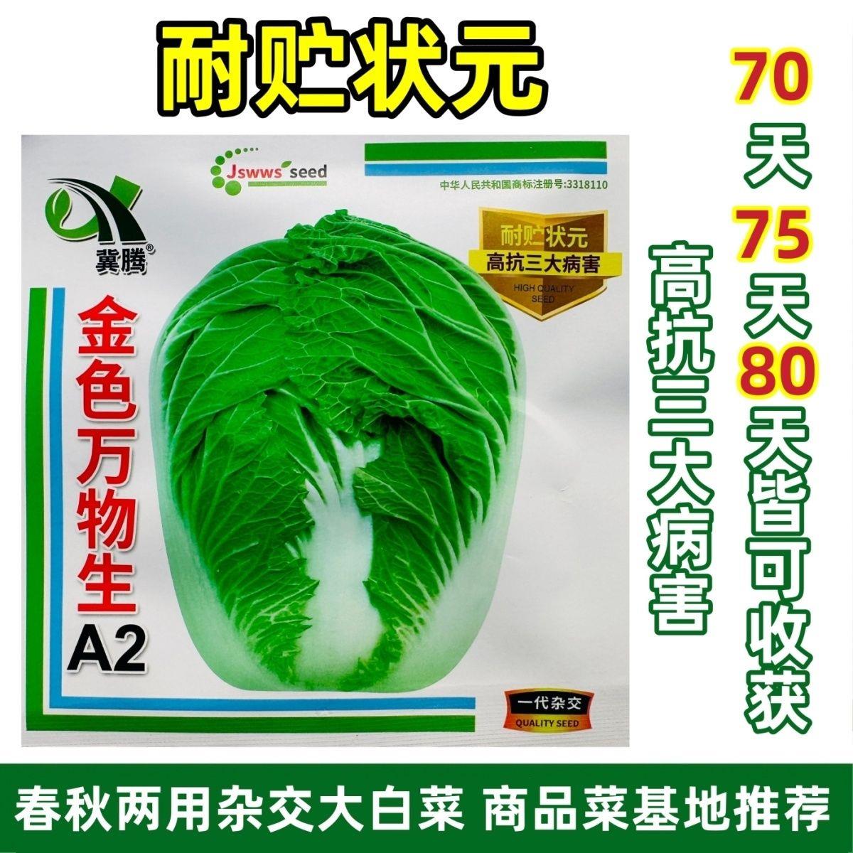 金色万物生A2大白菜种子春秋两用杂交大白菜种籽耐贮状元高抗病害
