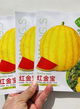 科望红金宝西瓜种子早熟圆球果皮金黄色果肉大红肉质细脆多汁皮薄