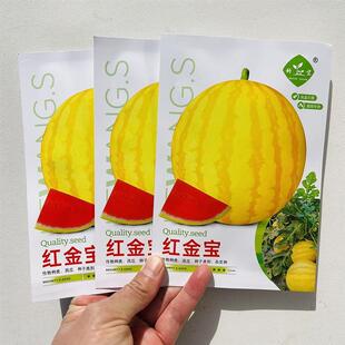 科望红金宝西瓜种子早熟圆球果皮金黄色果肉大红肉质细脆多汁皮薄