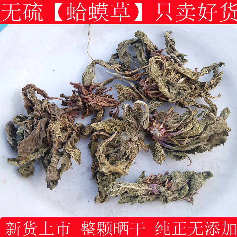 蛤蟆草 中药材荔枝草 癞蛤蟆草咽喉500g新货无硫农家采摘原料泡水