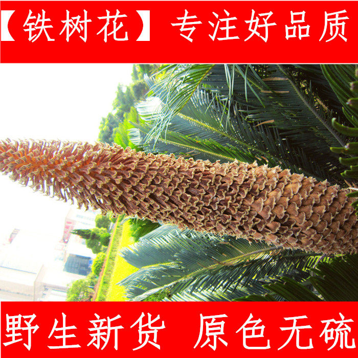 铁树花 干花 铁树果 铁树叶 大雄花500g中药材铁树花雄花干净新货