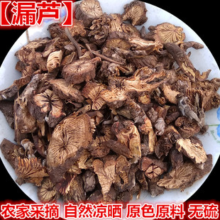 漏芦粉 中药材东北 漏芦 野兰 鬼油麻华州漏芦禹州漏芦500克新