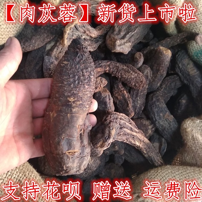 肉苁蓉 中药材硬肉苁蓉500g整颗 切片备注大芸整根泡酒料锁阳枸杞