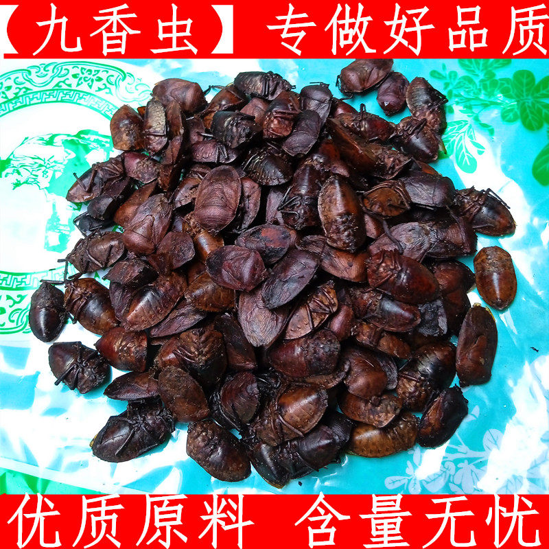 九香虫 新货黑兜虫蜣螂虫打屁虫屁巴虫瓜黑蝽中药材大九香虫100克