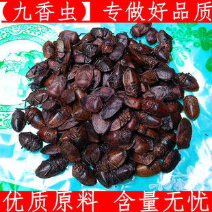 九香虫 新货黑兜虫蜣螂虫打屁虫屁巴虫瓜黑蝽中药材大九香虫100克