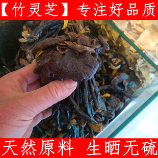 云南 灵芝 紫灵芝 黑灵芝灵芝紫灵芝500克品原色生晒无硫纯野生