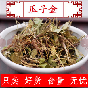 中药材瓜子金 瓜子金草 瓜子草 挂米草 辰砂草包邮500克支持验货