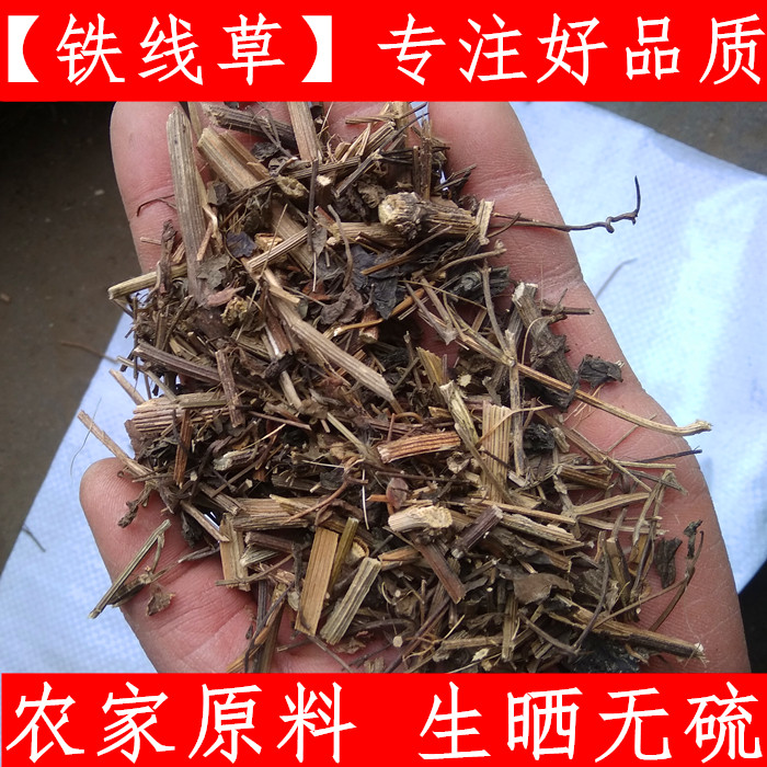 农家透骨草原料无硫新鲜中药材