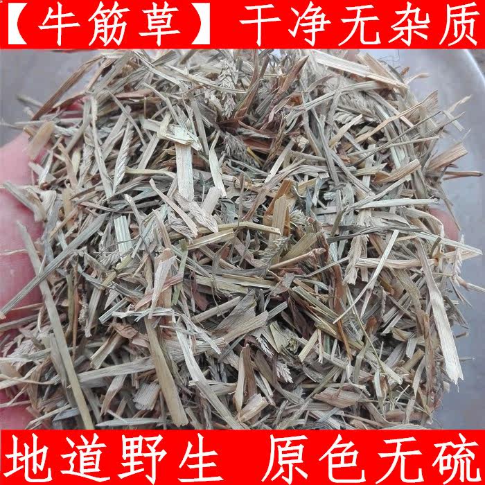 牛筋草 中药材牛耕草牛梗草 千金草 千人拔千斤草500克新鲜干货