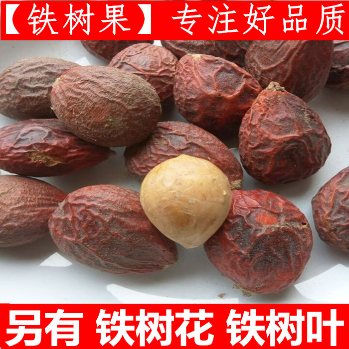 铁树果 中药材铁树籽 凤凰蛋 铁树子500克有铁树花新鲜干货