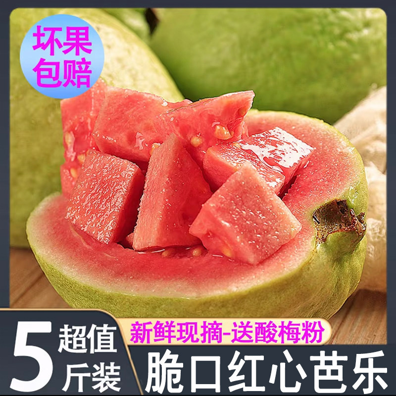 【顺丰包邮】广东红心芭乐树熟果5斤脆口酸嘢批发番石榴水果新鲜