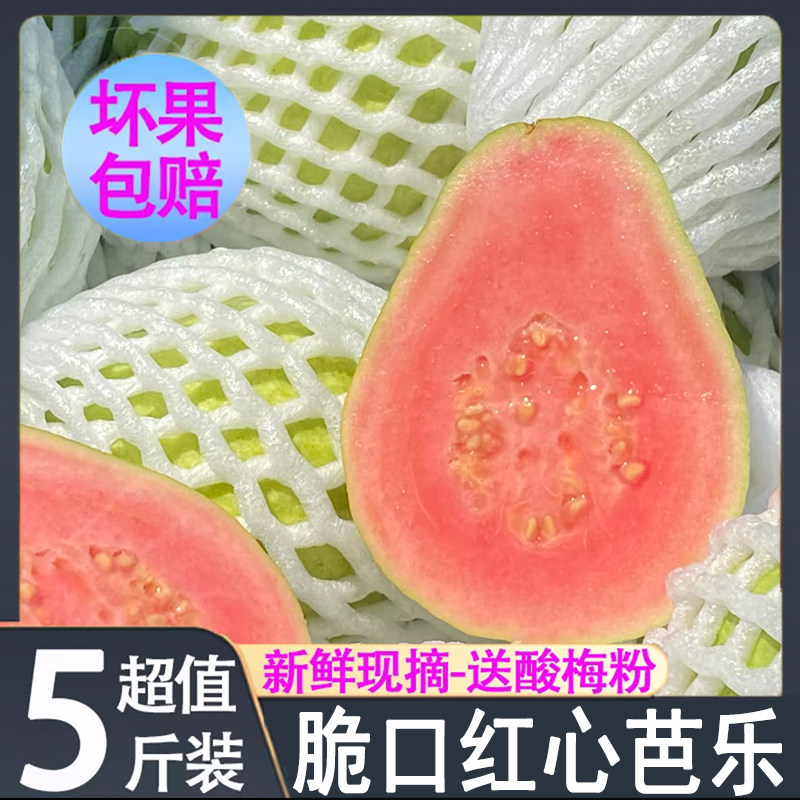 【顺丰包邮】广东红心芭乐树熟果5斤脆口酸嘢批发番石榴水果新鲜