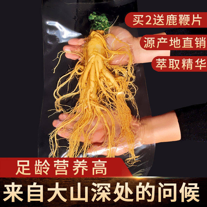 保鲜参长白山鲜人参整枝袋装加酒 泡酒炖汤滋补东北特产非野山参