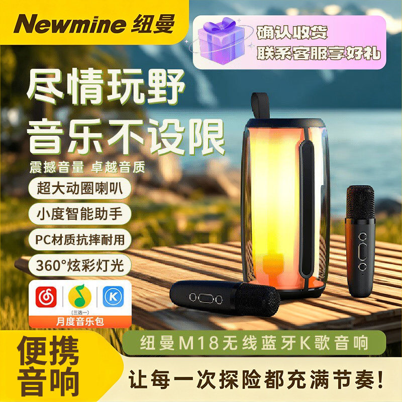 纽曼炫彩灯光蓝牙音箱双麦克风图片