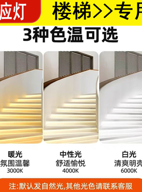 网红楼梯踏步灯自建房别墅复式楼踏步台阶 PLC三合一控制器感应灯