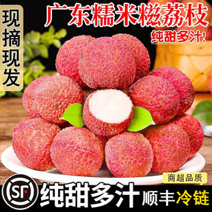 新鲜现摘糯米糍荔枝当季时令水果10斤礼盒装整箱顺丰包邮