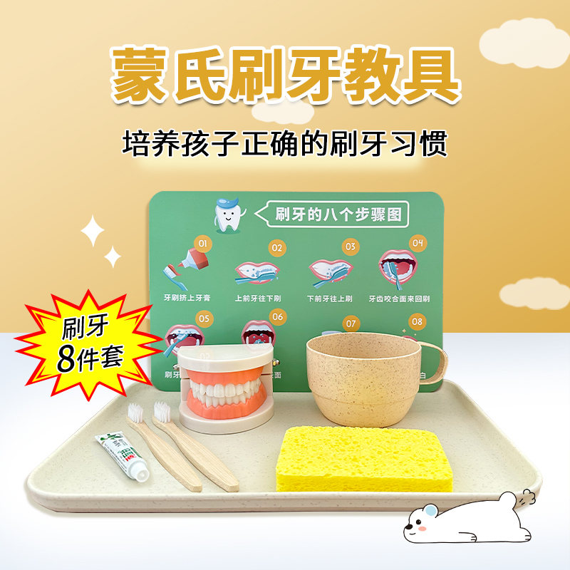 刷牙的工作蒙氏日常生活玩具牙模