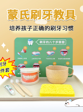 儿童刷牙练习教具套装牙齿模型幼儿园小班生活区材料早教大班益智