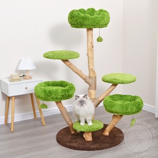 凯瑞郁郁葱葱猫爬架猫抓柱猫树猫屋猫窝猫跳台磨爪攀爬宠物用品