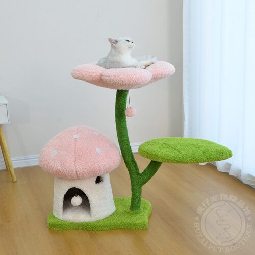 catry凯瑞蘑菇花朵猫爬架