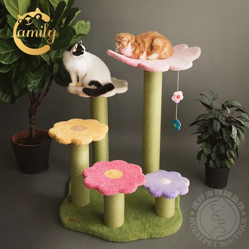 2021新品花梯玩具定制猫爬架猫