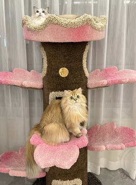 现货Camily好大一棵树猫爬架定制太阳花猫树猫咪城堡猫窝耐抓耐磨
