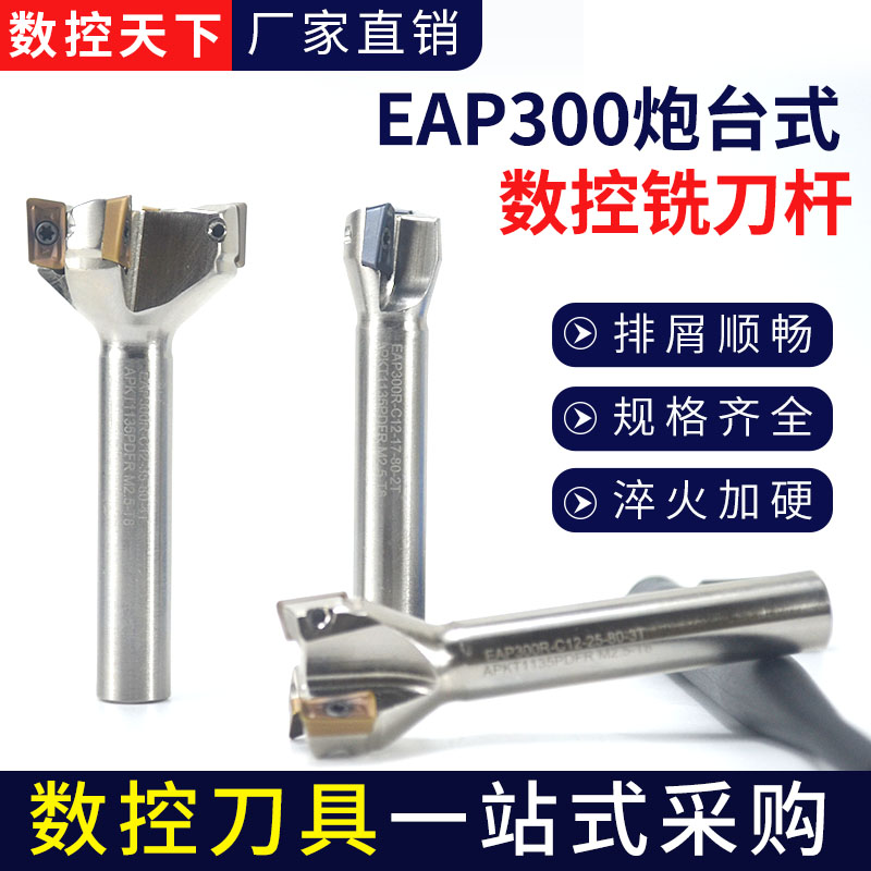 YKP300R一体式铣刀杆