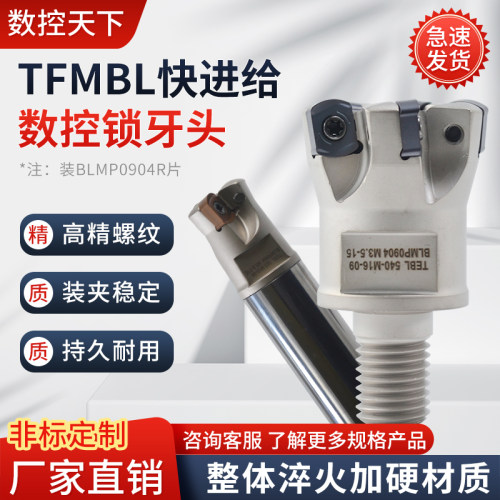 YKPTFMBL09快进给锁牙头