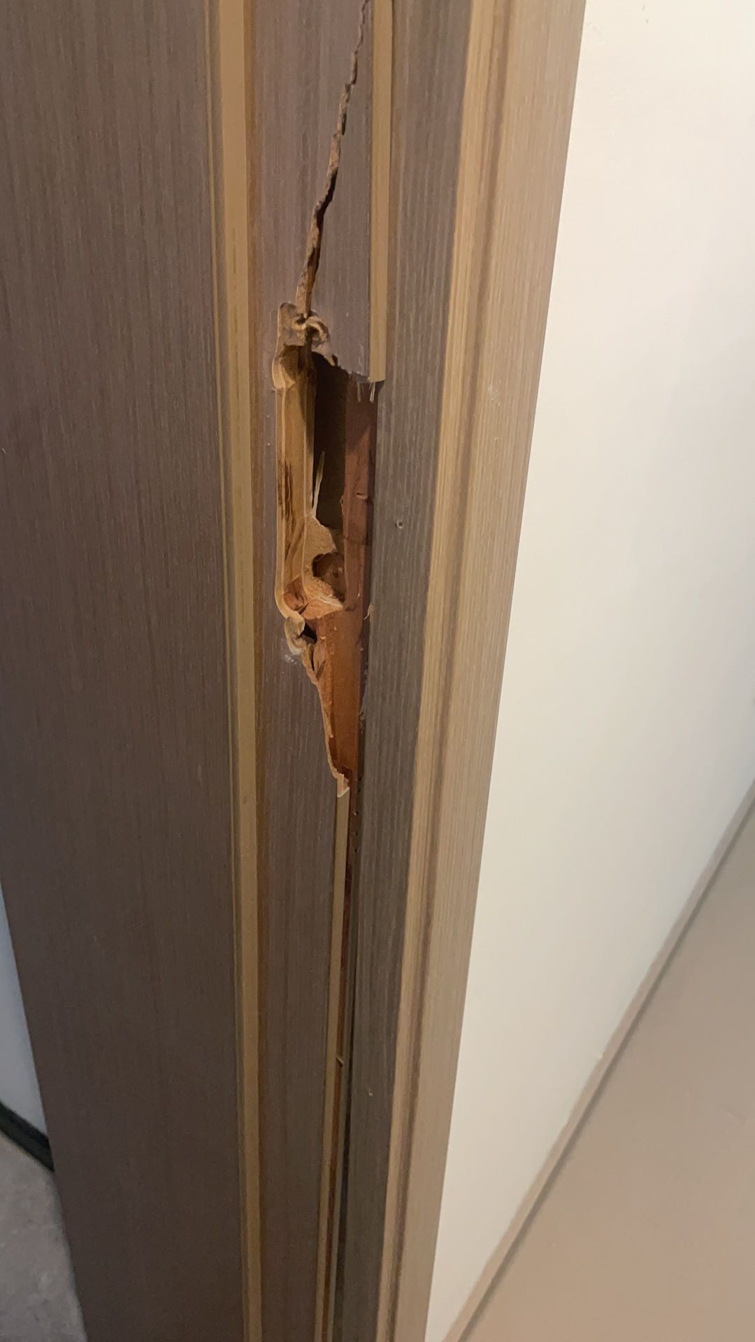 各种家具 门窗 地板 岩板等修复补漆