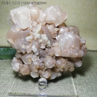 L55天然桔红色方解石晶簇摆件晶体矿物标本结晶体石头 大冶矿