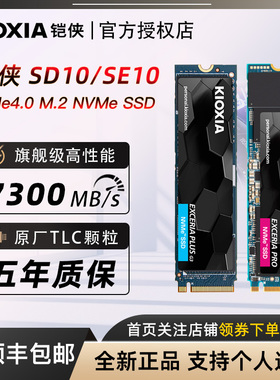 铠侠SD10 SE10 1T固态硬盘2T ssd台式机PS5笔记本M2 NVMe PCIe4.0