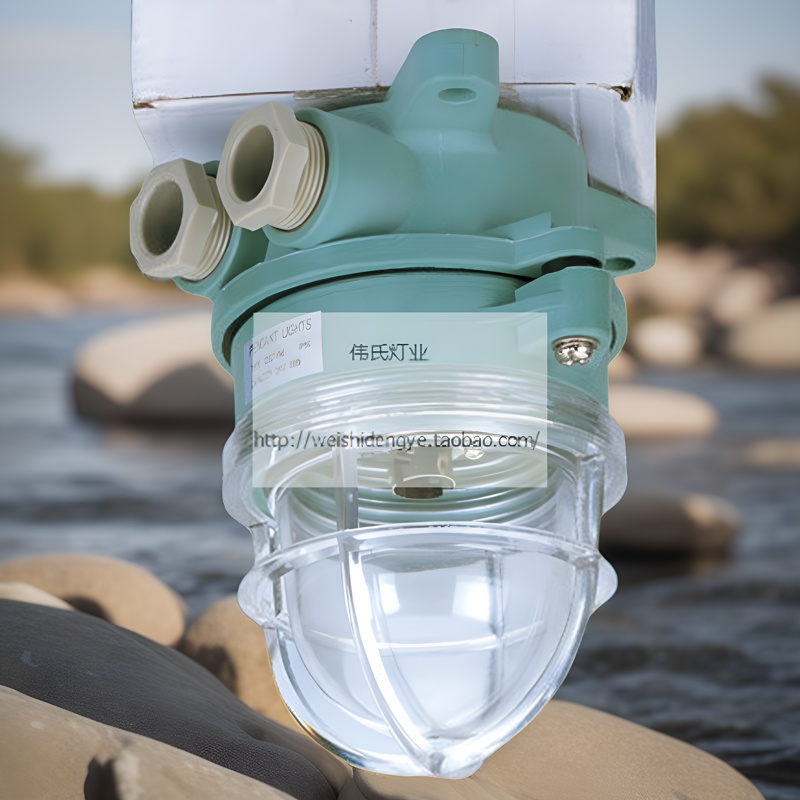 船用塑料作业灯DS7-1M防水吸顶式