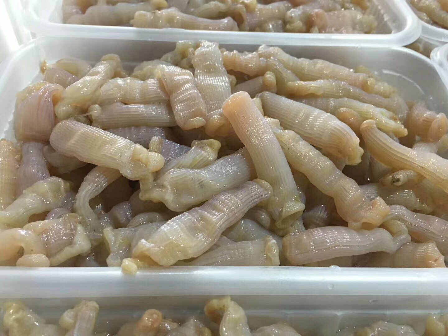 菜菜海鲜  冷冻沙虫 已去内脏爆炒白灼都好吃 250克 水产肉类/新鲜蔬果/熟食 其它 原图主图