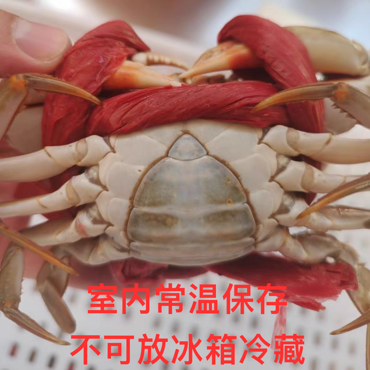 菜菜海鲜 活发阉仔蟹燕母蟹 2.5斤7-9只 顺丰包邮包活