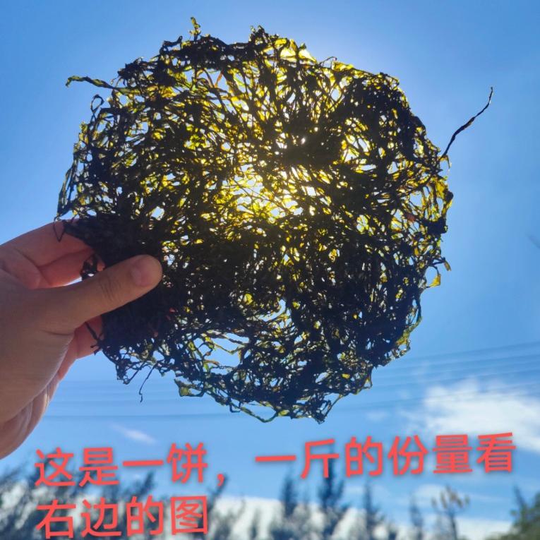 菜菜海鲜东山岛免洗头水紫菜500克/袋顺丰包邮