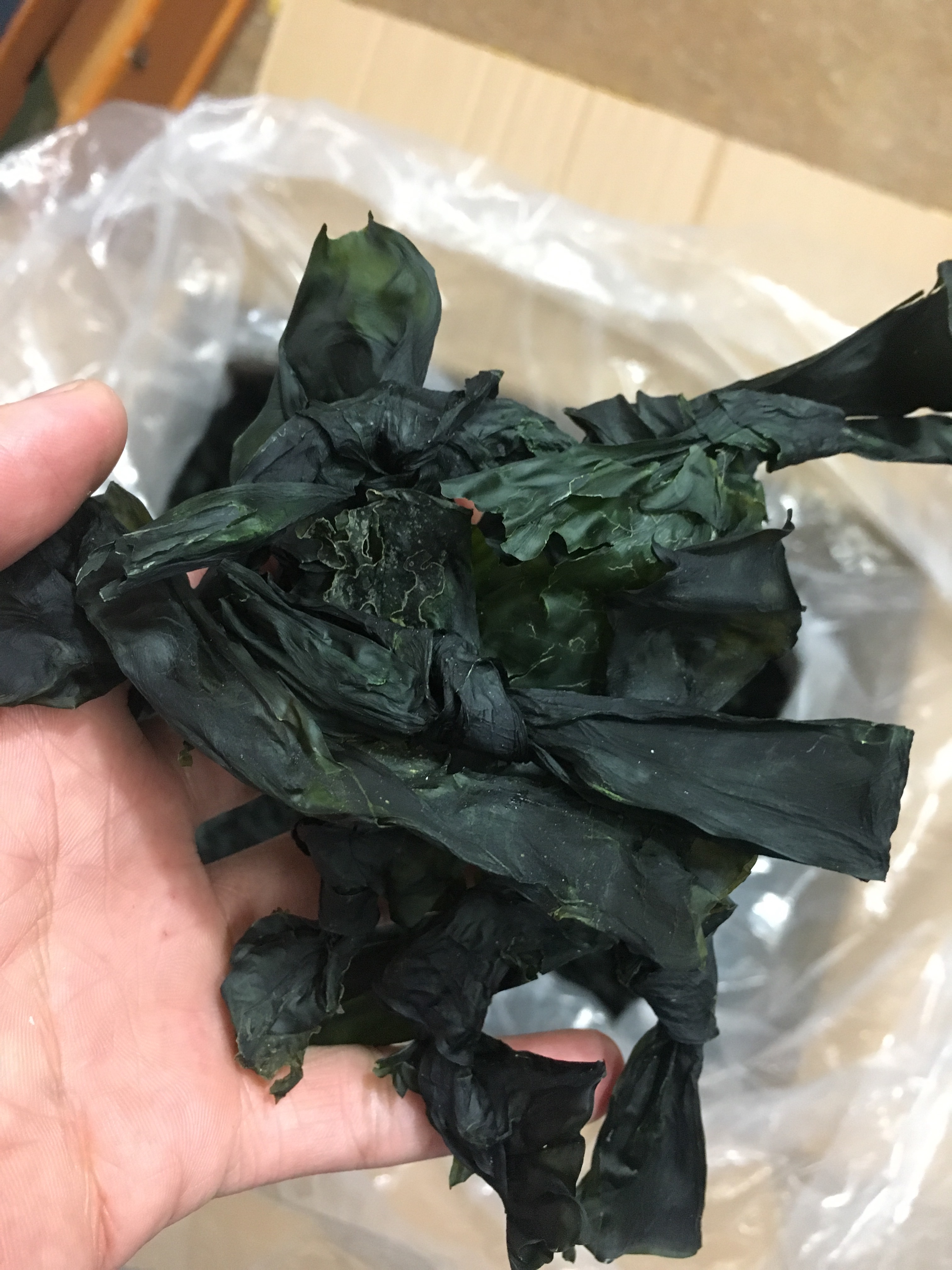 菜菜海鲜  天然晒 海带结 海带 干海带  300克包邮单独发中通