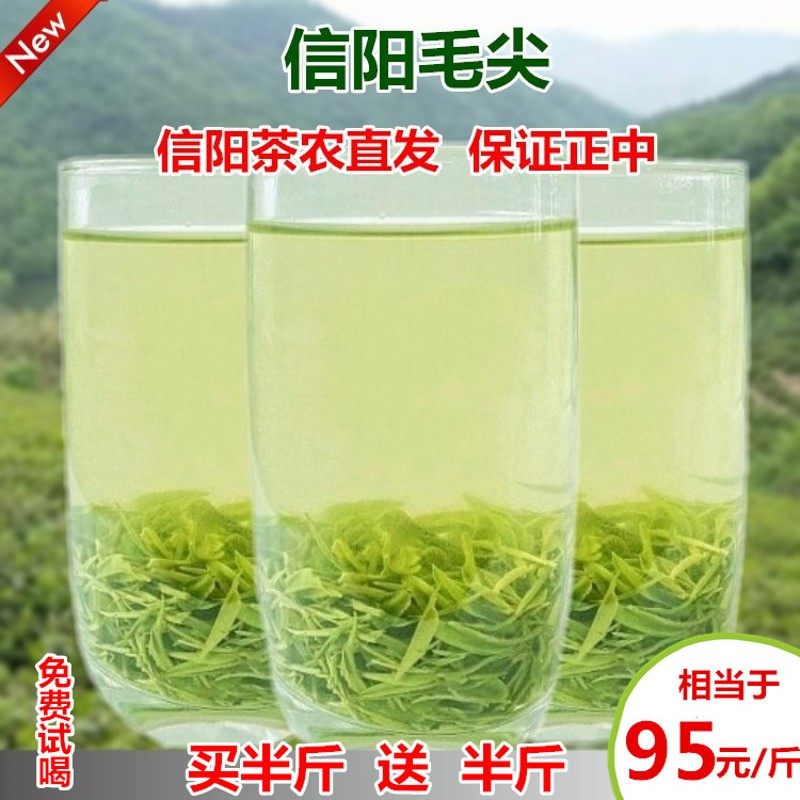 毛尖茶叶信阳2026雨前特级嫩芽