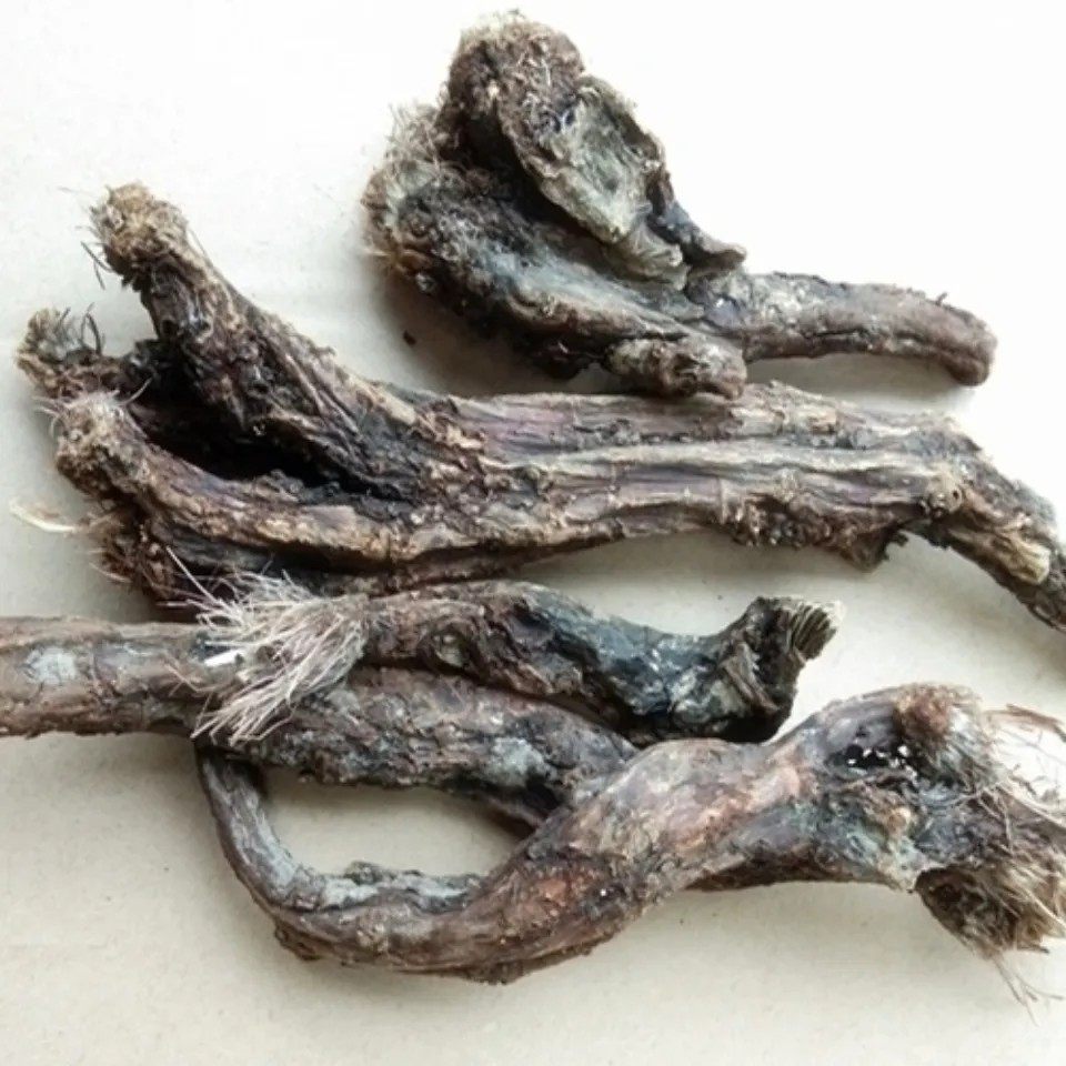 天然虎掌草 草玉梅 见风青 狗脚迹 瞌睡花 纯根干货500g包邮