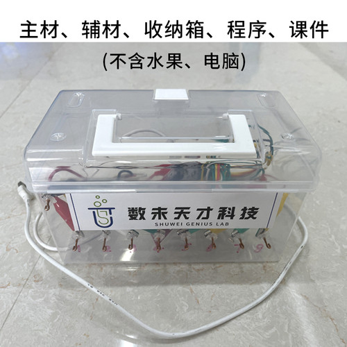 儿童科学小学幼儿园实验玩具水果音符钢琴触摸感应小制作手工diy
