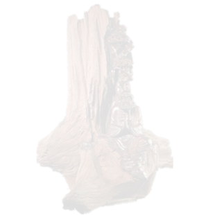 老挝大红酸枝达摩坐禅摆件风化枯木禅意办公室根雕红木纯手工雕刻