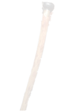 鸿郝睿工中山圆头权杖海南黄花梨