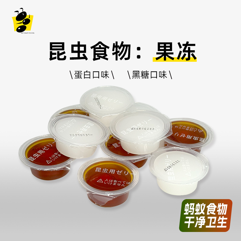 昆虫果冻爬虫食物蚂蚁空间站甲虫