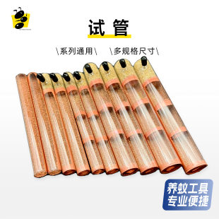 蚂蚁堵水试管生态蚁巢混凝土巢弓背蚁原生收获蚁具支加水铺地铺底
