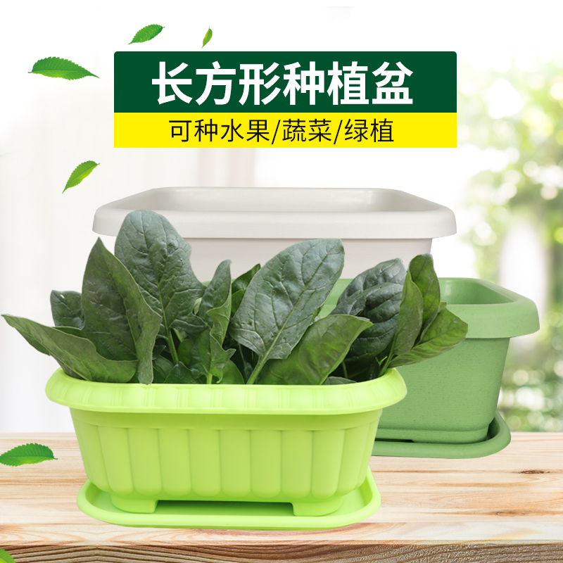 全新塑料种植盆种菜盆蔬菜花卉种植箱创意加厚多肉大号花盆包邮