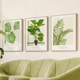 墙蛙北欧客厅装 饰画沙发背景墙画清新卧室床头画ins餐厅绿植挂画