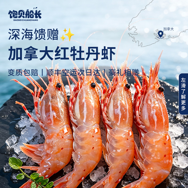 加拿大原装进口红牡丹虾刺身甜虾图片