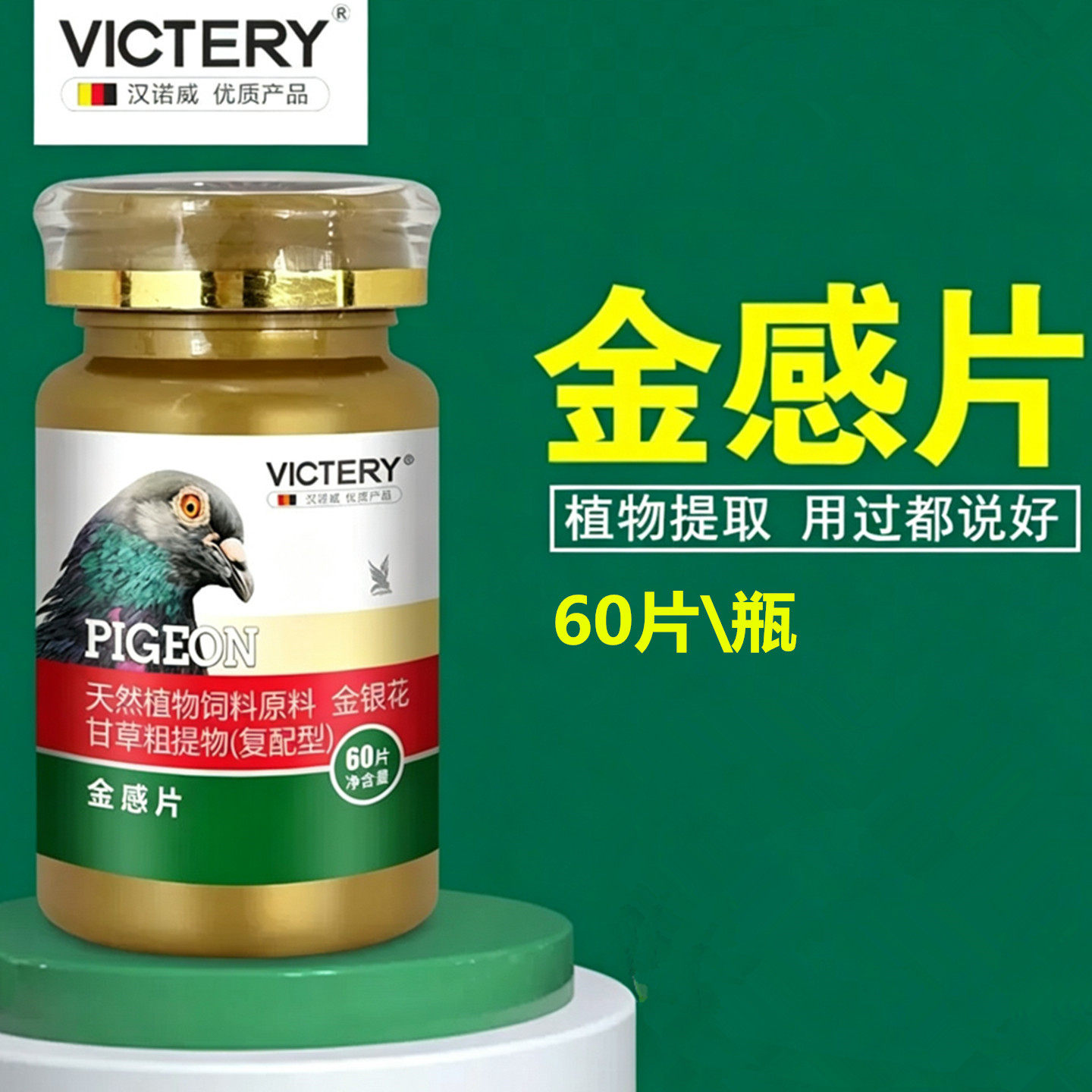 汉诺威金感片赛鸽子呼吸道