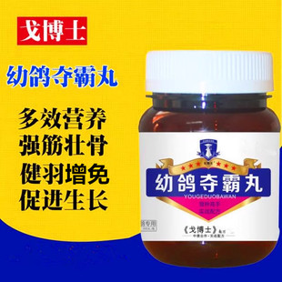 戈博士幼鸽夺霸丸信鸽用品赛鸽种鸽幼鸽营养丸育雏宝幼鸽宝非鸽药