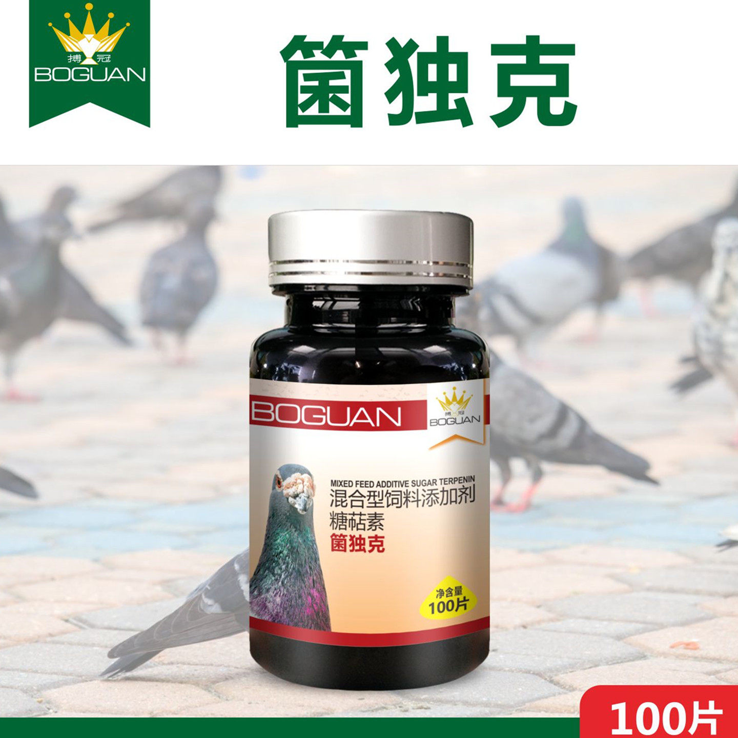 搏冠菌独克片赛鸽种鸽肠道