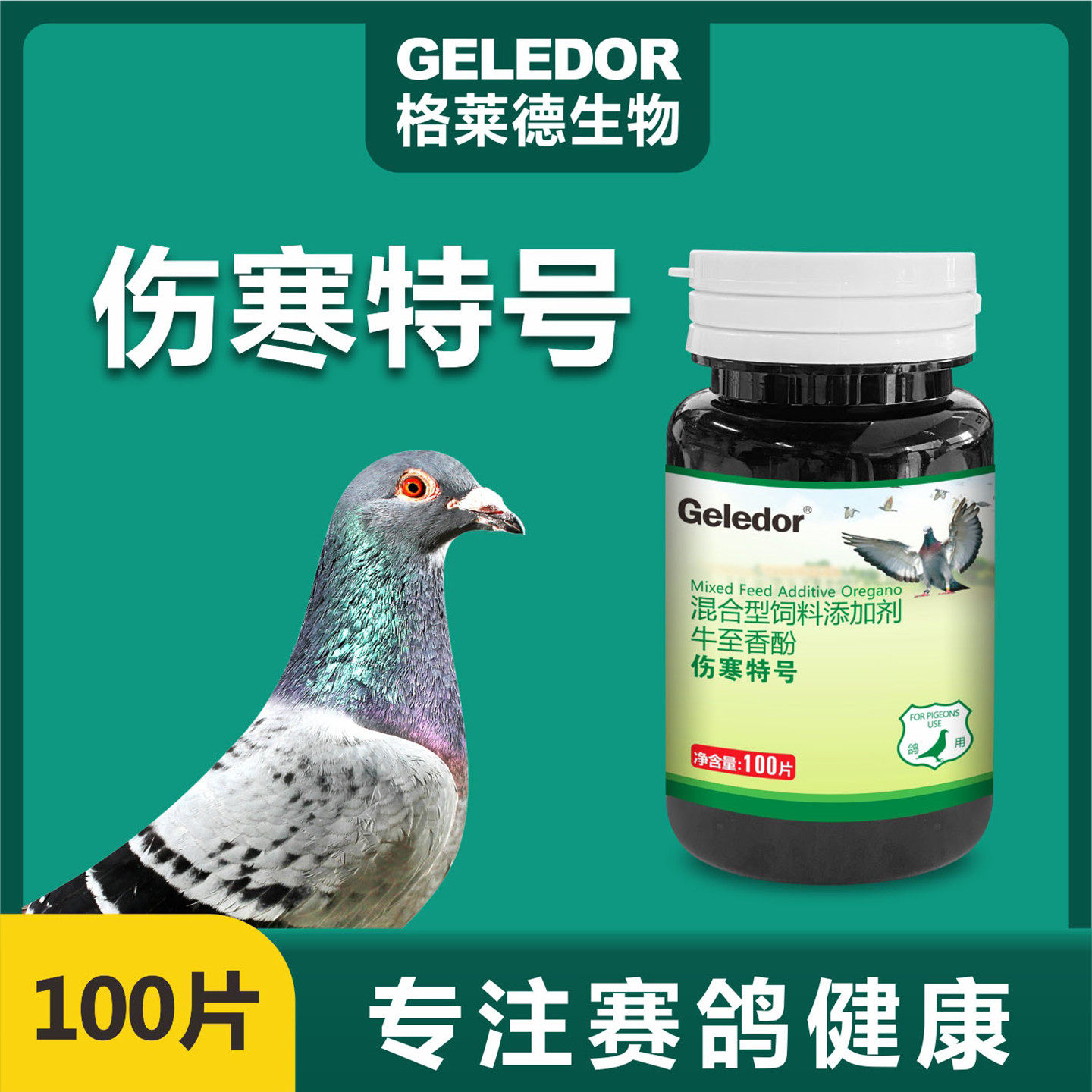 格莱德伤寒特号片赛鸽子肠道